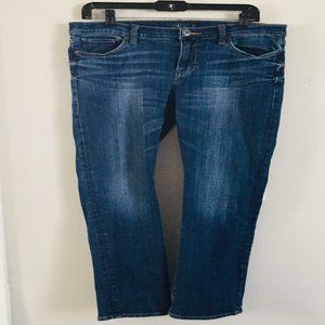 Lucky Brand Woman's Blue Brooke Straight Jeans Size 10